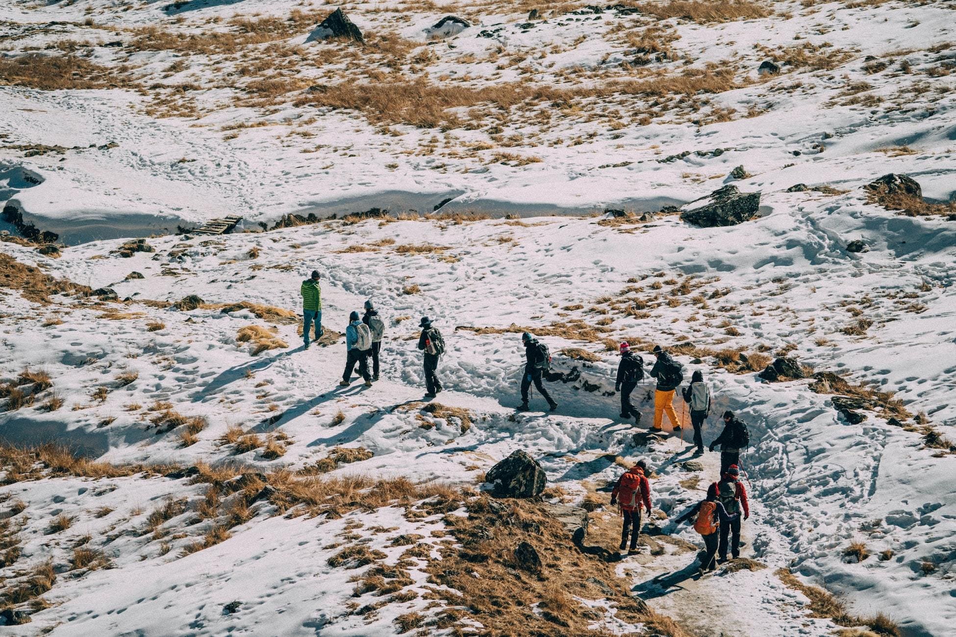 Ladakh trek