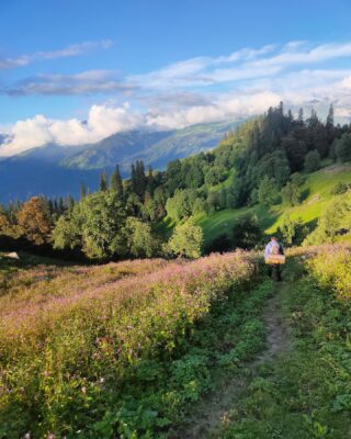 Away 🧗‍♀️ 
@lion_heart_expeditions 
#lionheartexpeditions
#travel #trek #green #mountains #expeditions #serene #incredibleindia #india #indiatravel #landscape #happy