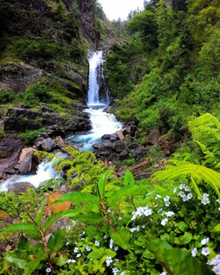 Life is better with waterfalls 
@lion_heart_expeditions 
#lionheartexpeditions 
#manali #trekking #outdoor #waterfall #outdoor #himalayas #independenceday #jaihind #himachalpradesh #himachal #kullu #lush #lushgreen