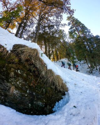 anywhere is within walking distance
@lion_heart_expeditions
#lionheartexpeditions
#manali #himachalpradesh #adventure #travel #camp #trek #winter #love #beautiful #nature #smile #happiness #expedition #sky #snow #trees