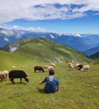 There’s no time to me bored in a world as beautiful as this.
@lion_heart_expeditions 
#lionheartexpeditions 
#manali #lonelyplanet #meadow #india #earth #nature #outdoors #adventure #beauty #green #sky #clouds #grass